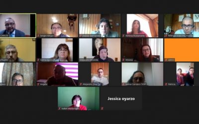 Juramento de nuevo directorio de ANEJUD Magallanes por Video-conferencia