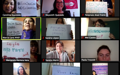 Post Natal de emergencia para el sector público demanda el Comite de Mujeres de ISP Chile