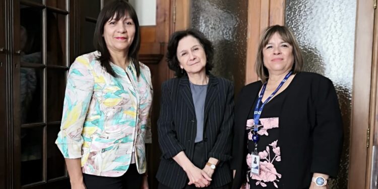 Anejud se reúnen con Ministra de la Corte Suprema para abordar temáticas de igualdad y no discriminación