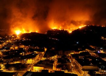 ¡Solidaridad en acción!