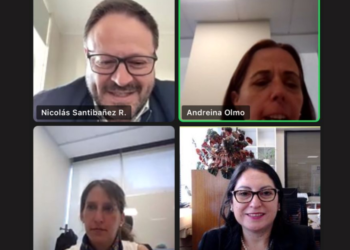 Representantes de Anejud y de la CAPJ sostienen reunión virtual para abordar temas claves