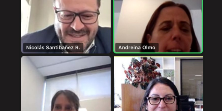 Representantes de Anejud y de la CAPJ sostienen reunión virtual para abordar temas claves