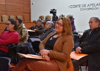 Anejud marca un hito con realización de seminario sobre la Ley Karin y el C190 de la OIT