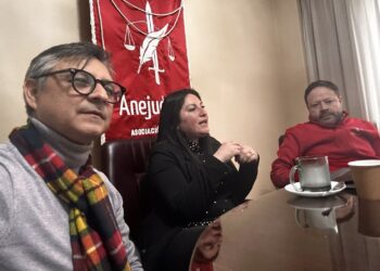 Exitosa charla sobre la Ley Karin organizada por Anfud y Anejud