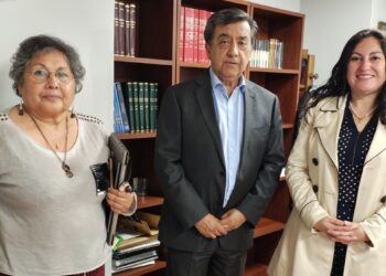 Encargada del Comité de Igualdad de Género de Anejud asiste a reunión en Suseso para abordar acoso laboral y Ley Karin