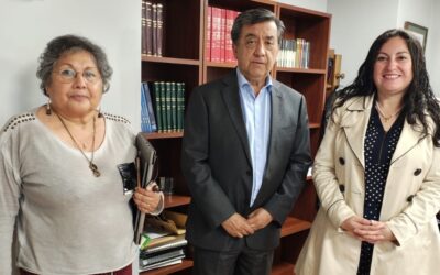 Encargada del Comité de Igualdad de Género de Anejud asiste a reunión en Suseso para abordar acoso laboral y Ley Karin