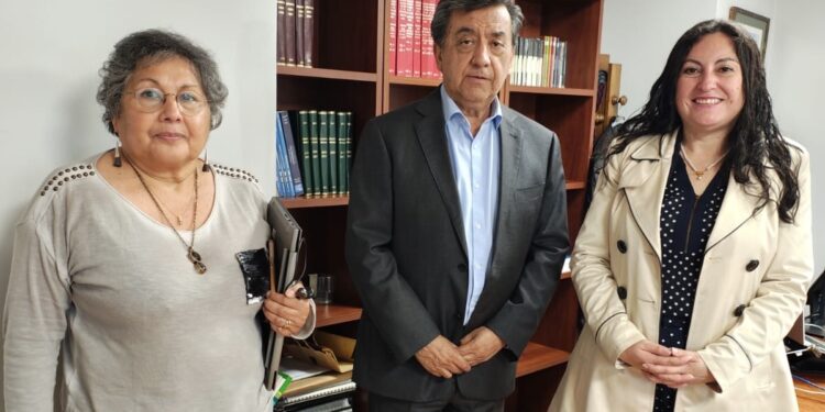 Encargada del Comité de Igualdad de Género de Anejud asiste a reunión en Suseso para abordar acoso laboral y Ley Karin