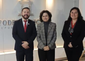 Anejud participa activamente en el Consejo Consultivo Asesor de Igualdad de Género y No Discriminación del PJUD