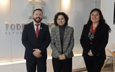 Anejud participa activamente en el Consejo Consultivo Asesor de Igualdad de Género y No Discriminación del PJUD