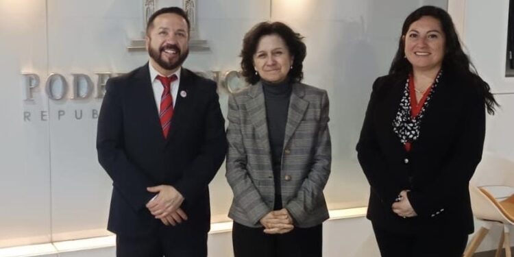 Anejud participa activamente en el Consejo Consultivo Asesor de Igualdad de Género y No Discriminación del PJUD