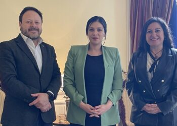 Presidenta de la Cámara de Diputados recibe en audiencia a la Anejud