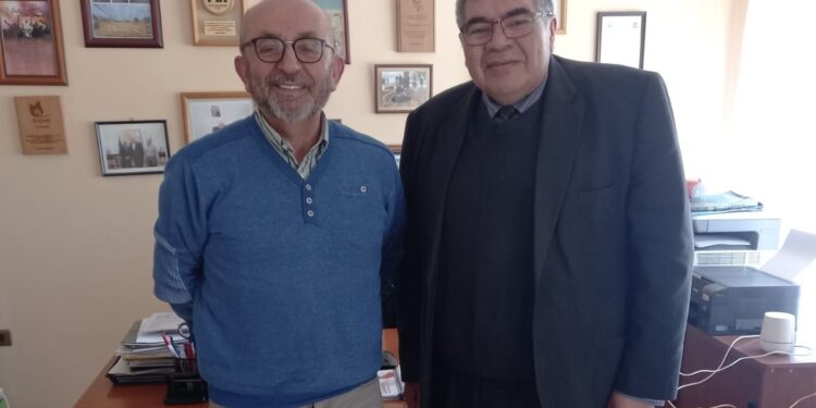 Anejud Concepción-Arauco impulsa gestiones parlamentarias por mejoras laborales y salariales