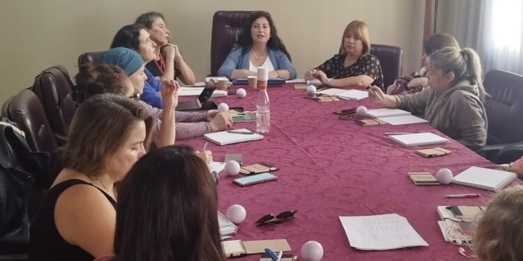 Comité Nacional de Igualdad y No Discriminación diseña hoja de ruta con foco en cuidados, brechas laborales y prevención de violencia en el trabajo.