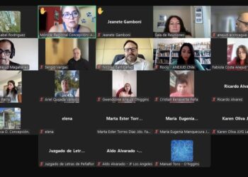 Anejud fortalece participación regional en la primera reunión del año de la Mesa de Teletrabajo