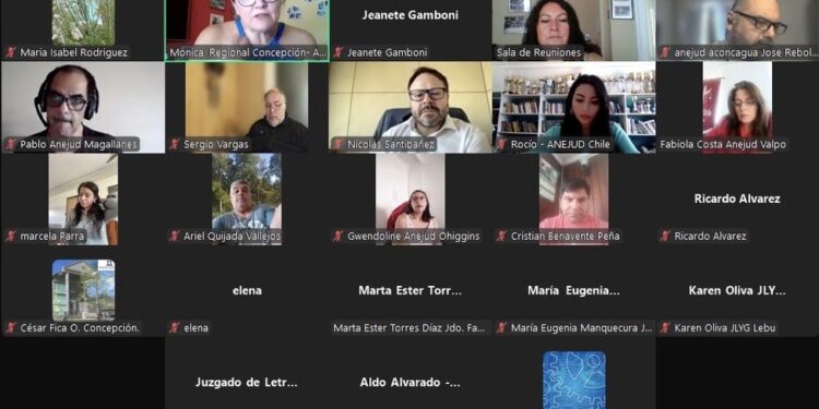 Anejud fortalece participación regional en la primera reunión del año de la Mesa de Teletrabajo