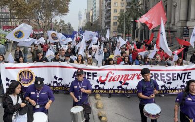 ANEJUD saluda los 82 años de ANEF destacando su legado histórico y compromiso con el empleo público