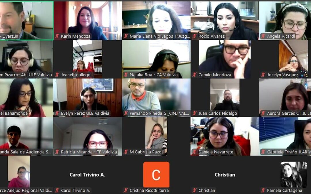 Conversatorio “Cuidados, Dignidad y Derechos” pone en el centro la Ley 21.545