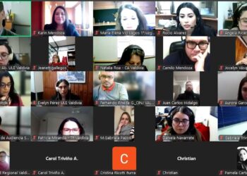 Conversatorio “Cuidados, Dignidad y Derechos” pone en el centro la Ley 21.545