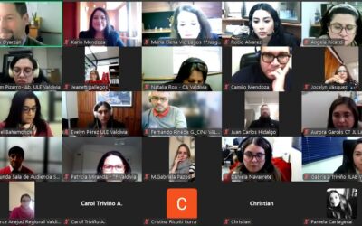 Conversatorio “Cuidados, Dignidad y Derechos” pone en el centro la Ley 21.545