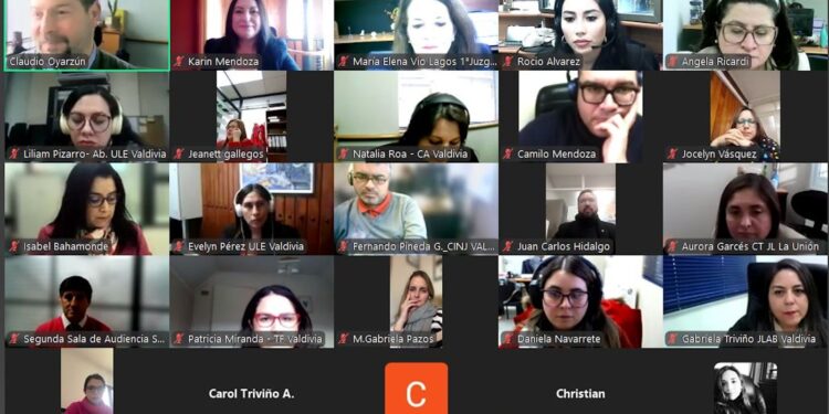 Conversatorio “Cuidados, Dignidad y Derechos” pone en el centro la Ley 21.545