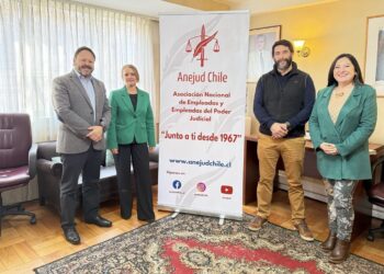 Anejud se articula con gremios de Anef para defender el reconocimiento de sus directorios regionales