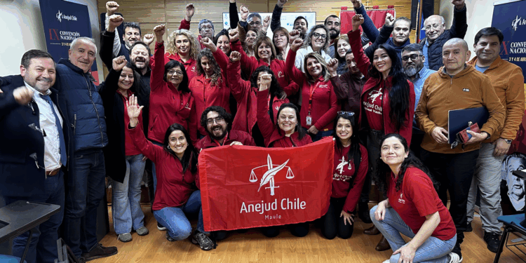 Con histórica participación, Anejud aprueba reforma de Estatutos con 89% a favor del Apruebo