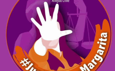 Anejud Chile Respalda a Socias de O’Higgins en Causa por Acoso Sexual