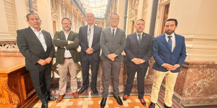 Presidente de Anejud expone ante el Pleno de la Corte Suprema en las pre Jornadas de Reflexión 202