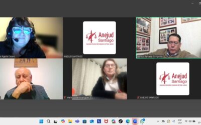 Directorio de Anejud Santiago continúa con fuerza su labor gremial