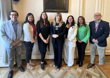 Anejud Chile y la Alianza de los Tres Poderes del Estado se reúnen con la Senadora Rincón para plantear sus demandas en la discusión del reajuste público