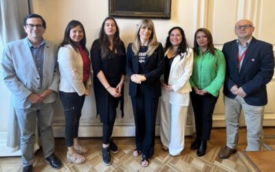 Anejud Chile y la Alianza de los Tres Poderes del Estado se reúnen con la Senadora Rincón para plantear sus demandas en la discusión del reajuste público