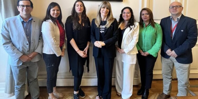 Anejud Chile y la Alianza de los Tres Poderes del Estado se reúnen con la Senadora Rincón para plantear sus demandas en la discusión del reajuste público