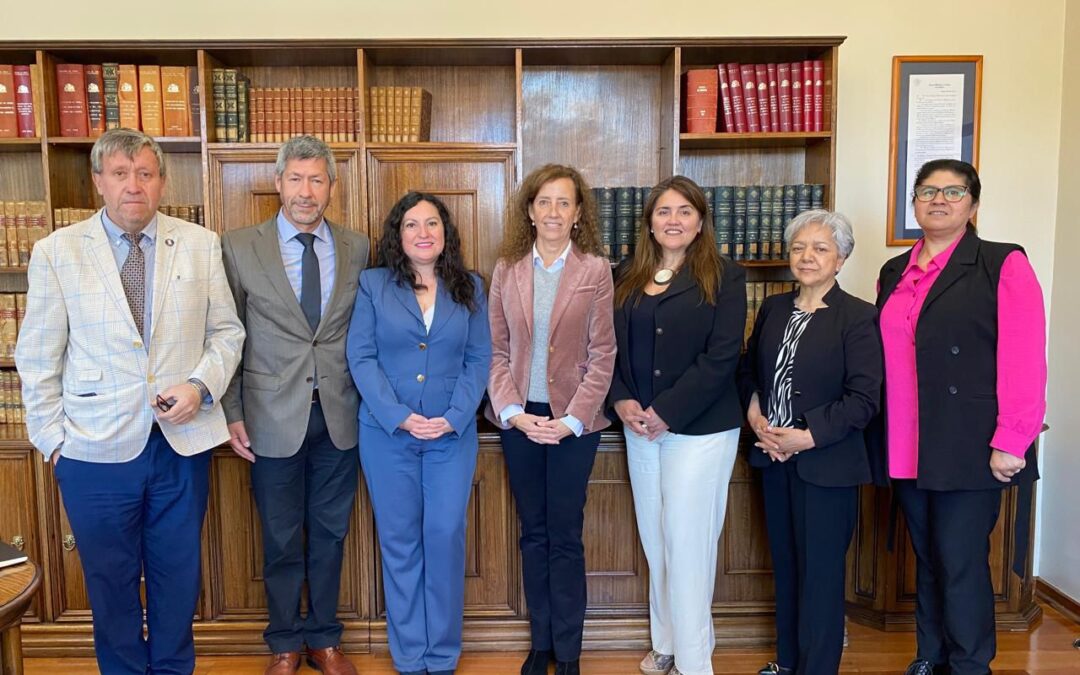 Regionales de Anejud Concepción-Arauco y Biobío exponen a la ministra Gajardo la crítica situación laboral que afecta a la jurisdicción