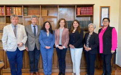 Regionales de Anejud Concepción-Arauco y Biobío exponen a la ministra Gajardo la crítica situación laboral que afecta a la jurisdicción