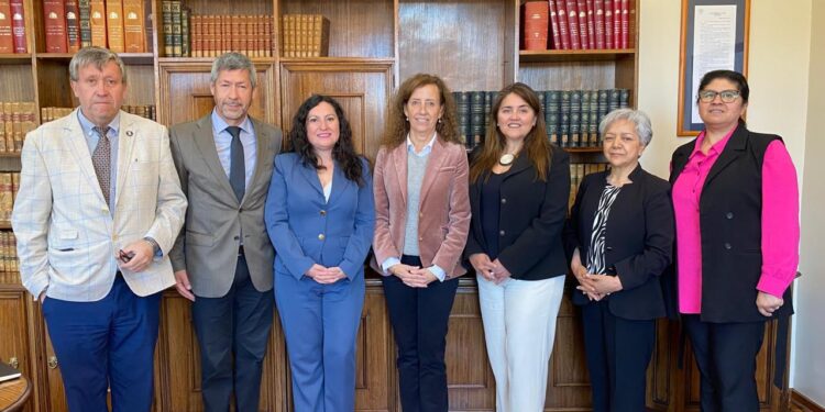 Regionales de Anejud Concepción-Arauco y Biobío exponen a la ministra Gajardo la crítica situación laboral que afecta a la jurisdicción