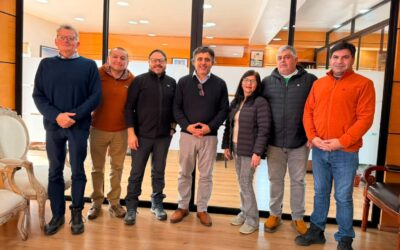 Anejud Chile avanza en terreno en la organización de los Juegos Nacionales Pucón 2026