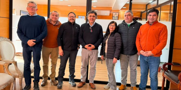 Anejud Chile avanza en terreno en la organización de los Juegos Nacionales Pucón 2026