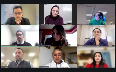 Anejud Chile avanza en propuestas para un teletrabajo más justo y universal en el Poder Judicial
