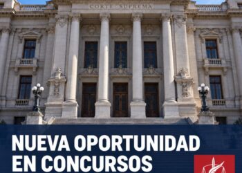Importante avance de Anejud Chile en materia de concursos